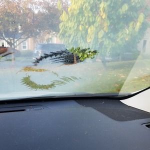 Meet your Posher, Stephan